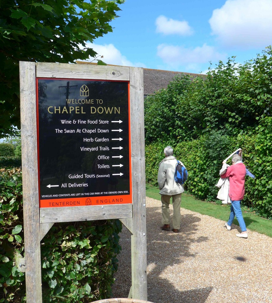 Chapel Down in Tenterden