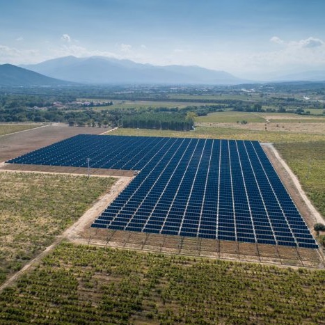 Op het Domaine de Nidolères in de Roussillon worden druivenstokken aangeplant onder zonnepanelen.