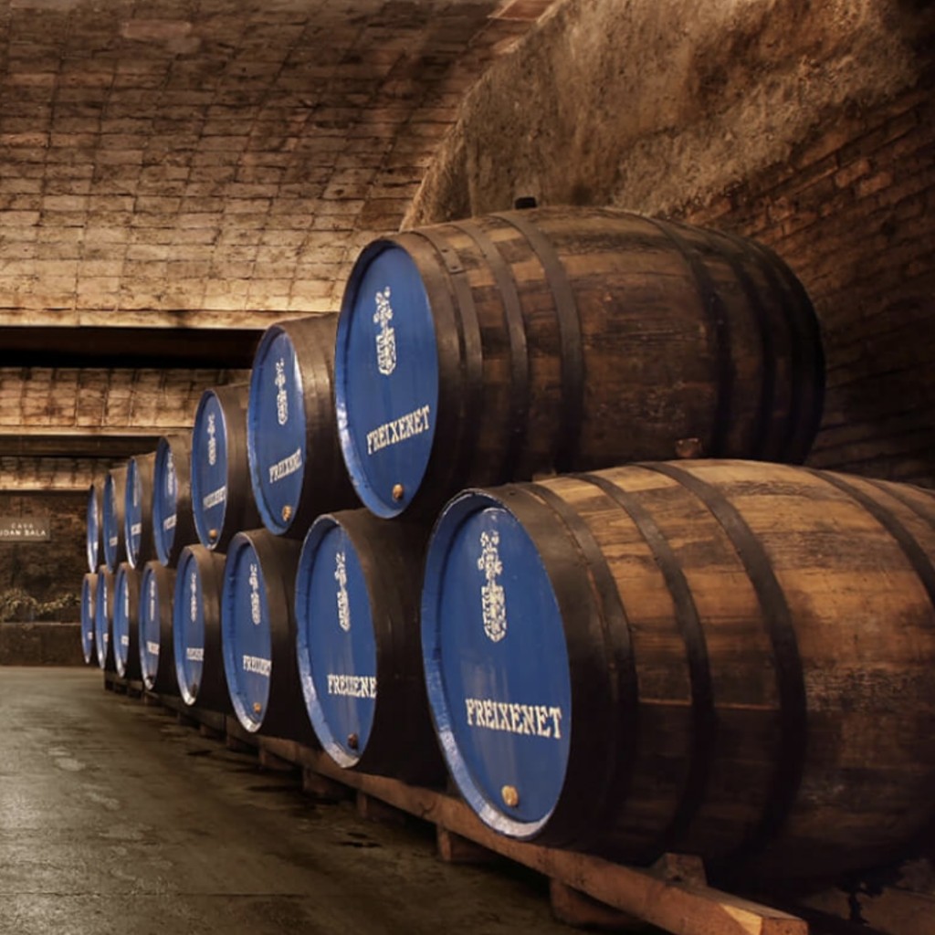 Foto website Freixenet