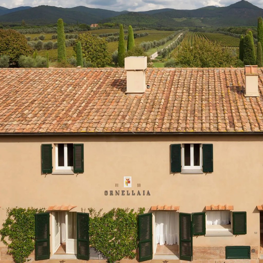 Foto website Ornellaia