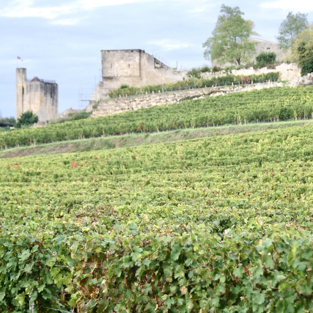 De wijngaarden aan de stadsmuur van Saint-Emilion / foto SG