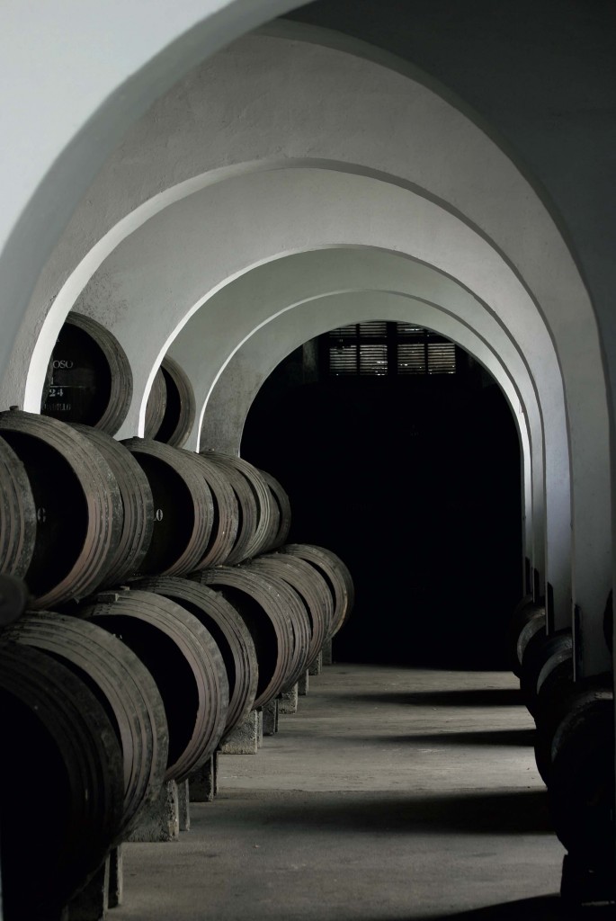 Foto Vinos de Jerez