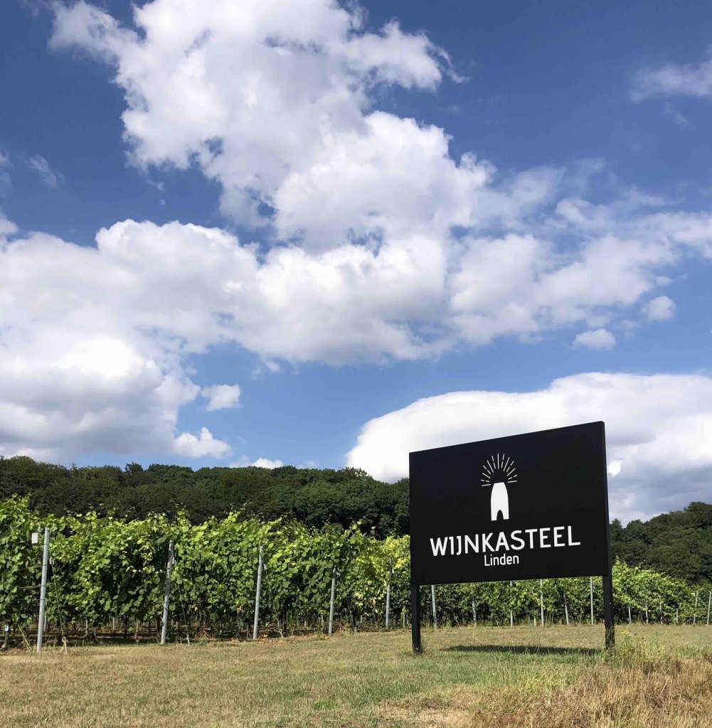Wijndomein Vandeurzen neemt deel aan het Eerste Wijnfestival van de Lage Landen / foto SG