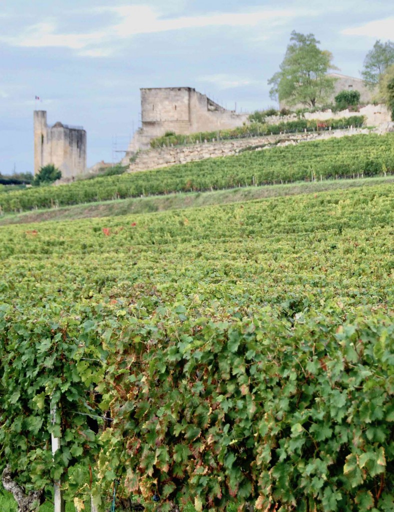 De wijngaarden rond de stad Saint-Emilion / foto S.G.