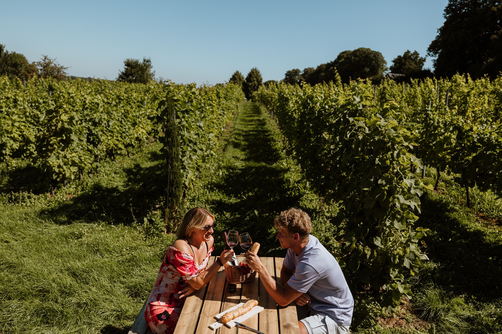 Wijnregio Zuid-Limburg ©Visit Zuid-Limburg - MaisonRowena