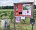 'Sprankelend Hageland’ leidt je naar 22 wijndomeinen