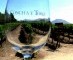 Concha y Toro is sterkste wijnmerk wereldwijd