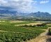 Grands Chais de France koopt Neethlingshof in Stellenbosch
