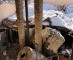 Wijnkelder Vall Llach bezwijkt onder sneeuw: topwijnen 2019 en oogst 2020 gaan grotendeels verloren