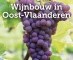 ‘Wijnbouw in Oost-Vlaanderen' voorgesteld op domein Près de Gand