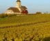 Bourgogne en Champagne laten Frans druivenoogstvolume met 17% stijgen