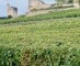 Franse Justitie moet jongste classificatie van Saint-Emilion ten gronde onderzoeken