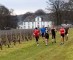 Eerste wijnproeversloop op domein Genoels-Elderen