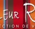 WebShop Couleur Raizin