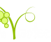 La Vinoteca