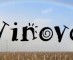 Vinovo