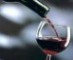 GMF Vins Vinos de España