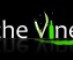 The Vine