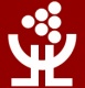 Lambrecht Wijnen