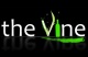 The Vine