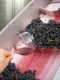 WineClub Pure Wine Lovers